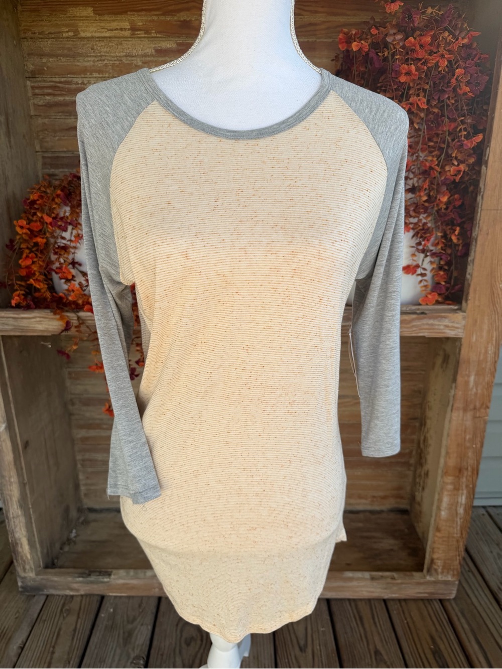 Women's Beige and Gray Raglan Tunic Top Lularoe Randy